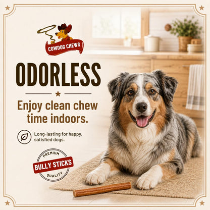 Cowdog Chews Beef Bully Stick: Odor-Free, Fully Digestible Beef Collagen Chews (5-7", 10 Count) - Natural, Grain-Free, Long-Lasting Collagen Bully Stick Substitute for All Dog Breeds4