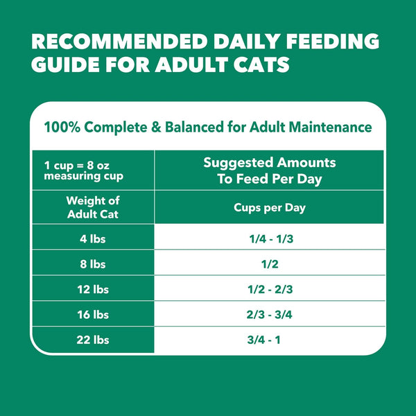 IAMS Proactive Health Healthy Senior Dry Cat Food, Chicken Recipe, 7 Lb | Real Chicken, Antioxidants for Immune Health, Supports Vital Organs, Bones & Joints, Natural Fiber & Prebiotics, 0% Fillers10