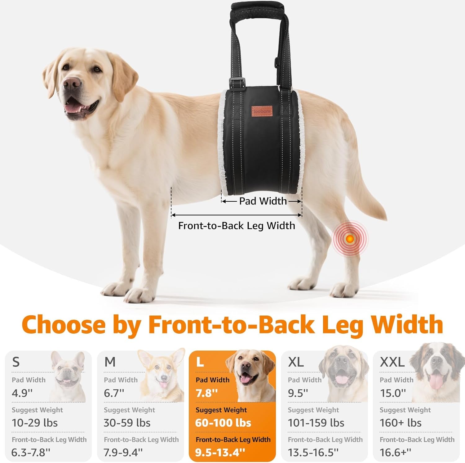 loobani-adjustable-dog-sling-for-large-dogs-hind-leg-support-acl-recovery-walking-stair-assistance-senior-dog-mobility-padded-comfort-adjustable-fit-lightweight-nylon-soft-plush-lining