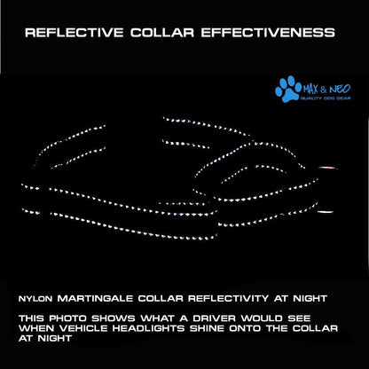 Max and Neo Nylon Martingale Collar - We Donate to a Dog Rescue for Every Collar Sold (Medium, Orange)4