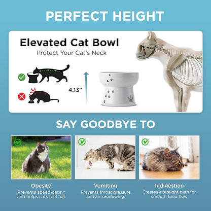NECOICHI Raised Cat Water Bowl, Elevated, with Measurement Lines, Dishwasher and Microwave Safe (Cat, Extra Tall) White5
