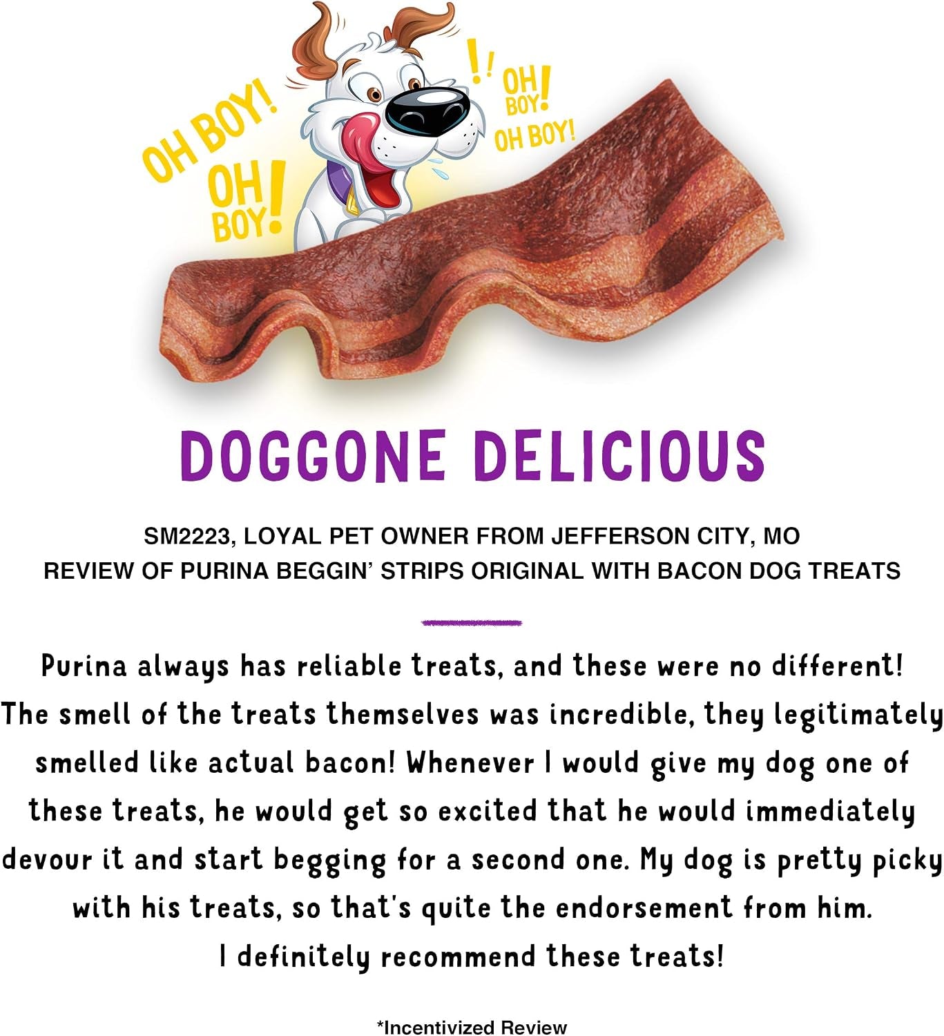 purina-beggin-strips-dog-treats-original-with-bacon-flavor-pack-of-2-26-oz-pouches