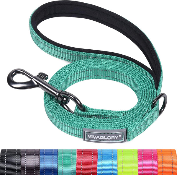 VIVAGLORY Dog Leash Puppy Leash for Collar, 3Ft X 1In, Black | with Soft Padded Handle for Training & Walking, Heavy Duty & Double Layer Nylon Pet Puppy10