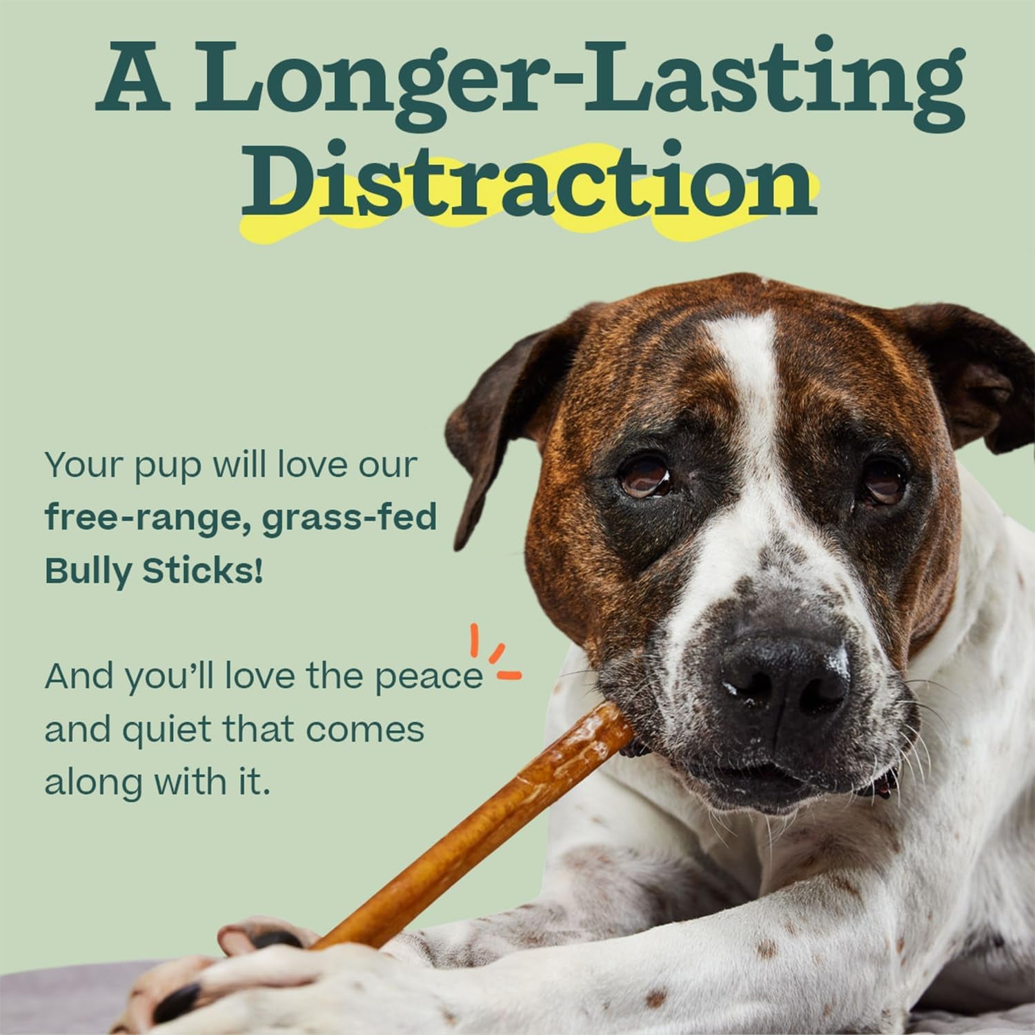 woof-bully-sticks-dog-treats-chew-sticks-for-dogs-long-lasting-dog-chew-treats-made-with-free-range-grass-fed-beef-6-sticks-10pk