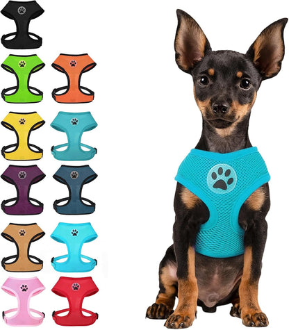 BINGPET Small Dog Harness, No Pull Dog Harness Small Sized Dogs, Soft Light Breathable Mesh Puppy Vest with Safety Buckle-Adjustable Step in Pet Harnesses for Easy Walking, Running, Training18
