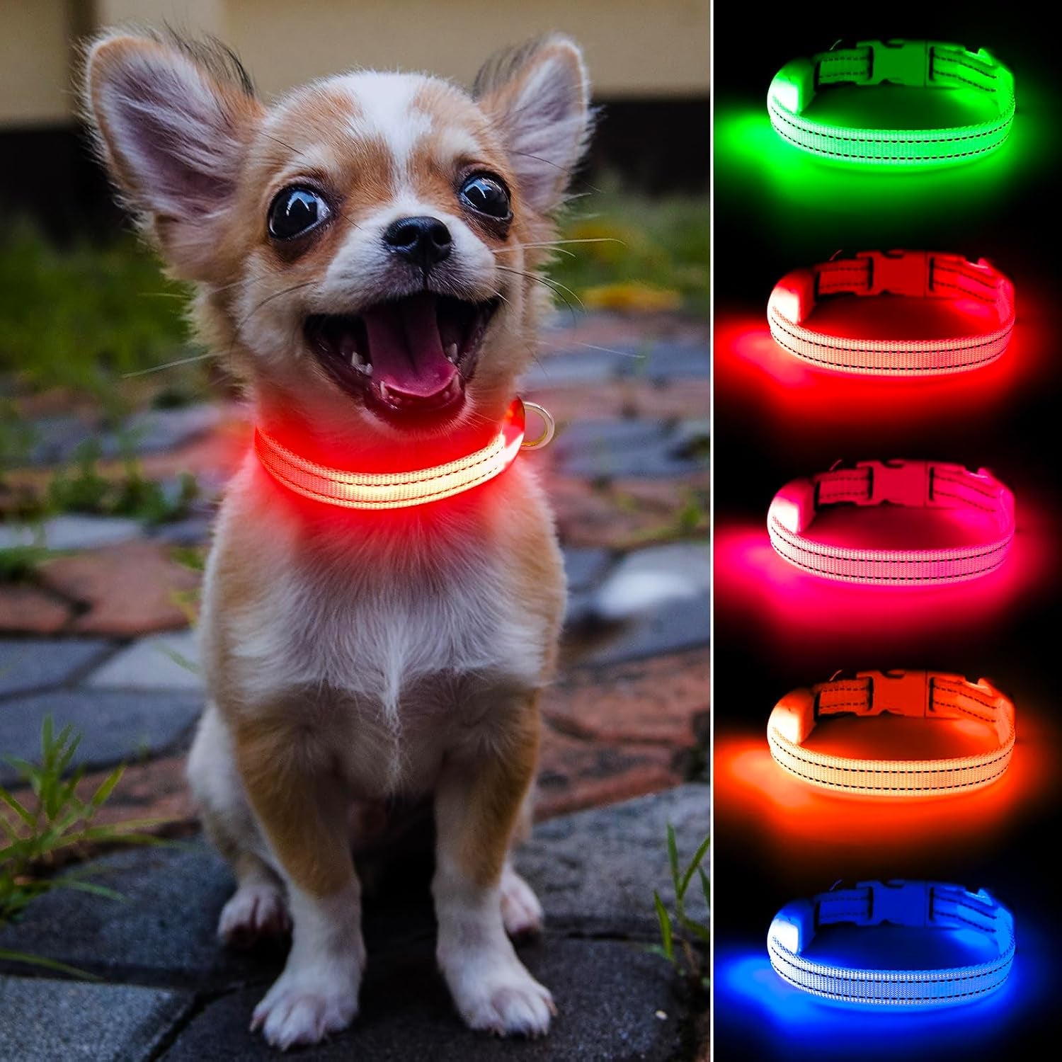 light-up-dog-collar-for-small-dogs-cats-reflective-led-dog-collar-rechargeable-glowing-puppy-collar-safety-dog-lights-for-night-walking-royal-blue