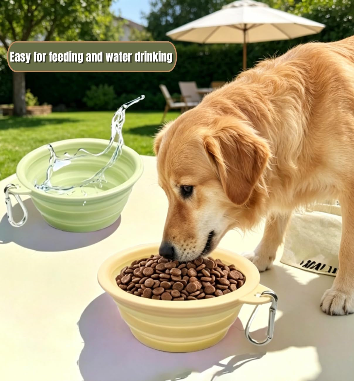 collapsible-pet-bowl-travel-food-water-bowlgreenpinkblue-food-grade-silicone-bpa-free-soft-durable-collapsible-with-carabiner-for-travel-non-slip-base-easy-to-rinse-clean