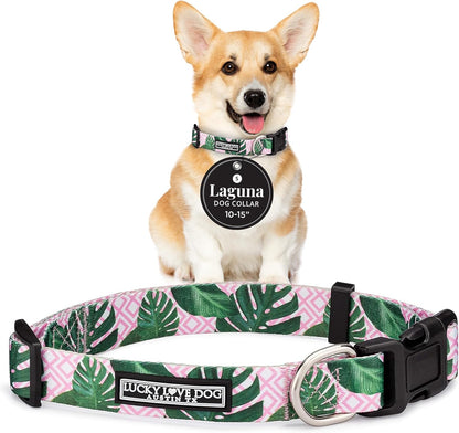 Lucky Love Dog - Easy Click Buckle Dog Collar with Leash Set Combo, Durable & Comfortable for Male & Female Dogs, Pet Collar for Medium Dogs, Secure Fit - Blackbird Combo, Medium99