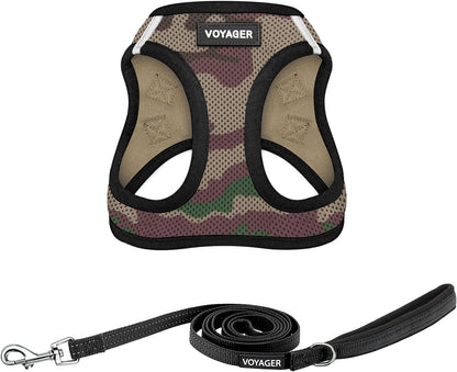 Best Pet Supplies Voyager Step-In Air All Weather Mesh Harness and Reflective Dog 5Ft Leash Combo with Neoprene Handle, for Small, Medium and Large Breed Puppies - Baby Blue, Small30