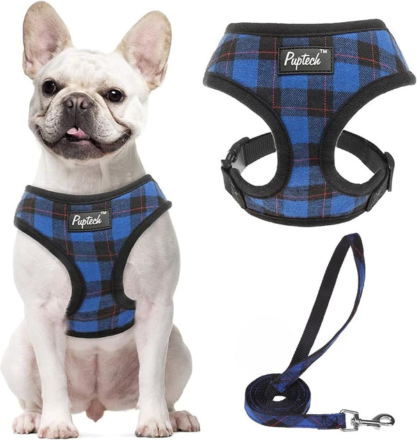 PUPTECK Soft Mesh Dog Harness Small Sized and Leash Set Pet Puppy Cat Comfort Padded Vest No Pull Harnesses, Beige, S51