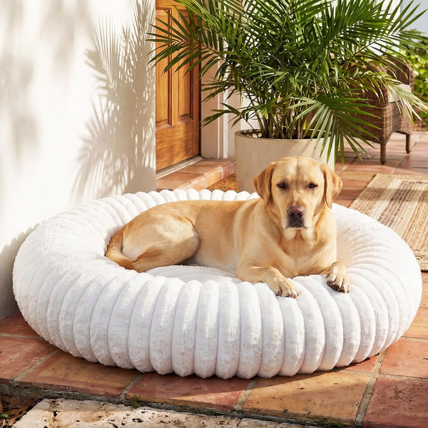 Donut Pet Bed for Indoor Cats and Small Dogs, Self-Heating Dog Bed with Non-Slip Bottom, Winter Comfort Dog Beds for Puppies, Washable & Portable Egg Tart Shape (S) Small Cat Bed Self Warming10