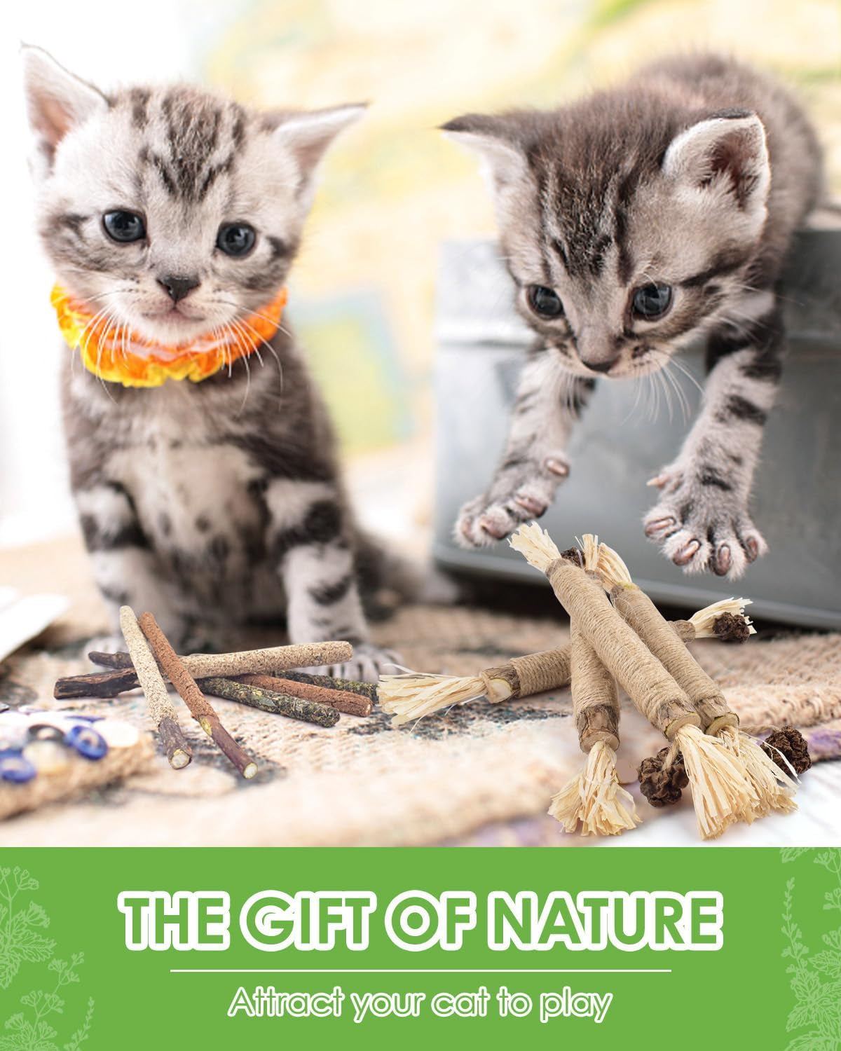 tindtop-silvervine-chew-sticks-for-cats-10-pack-natural-catnip-chew-toys-for-kittens-teeth-cleaning-matatabi-dental-care-increase-appetite-calm-cat-anxiety-and-stress-aggressive-chewers-toy