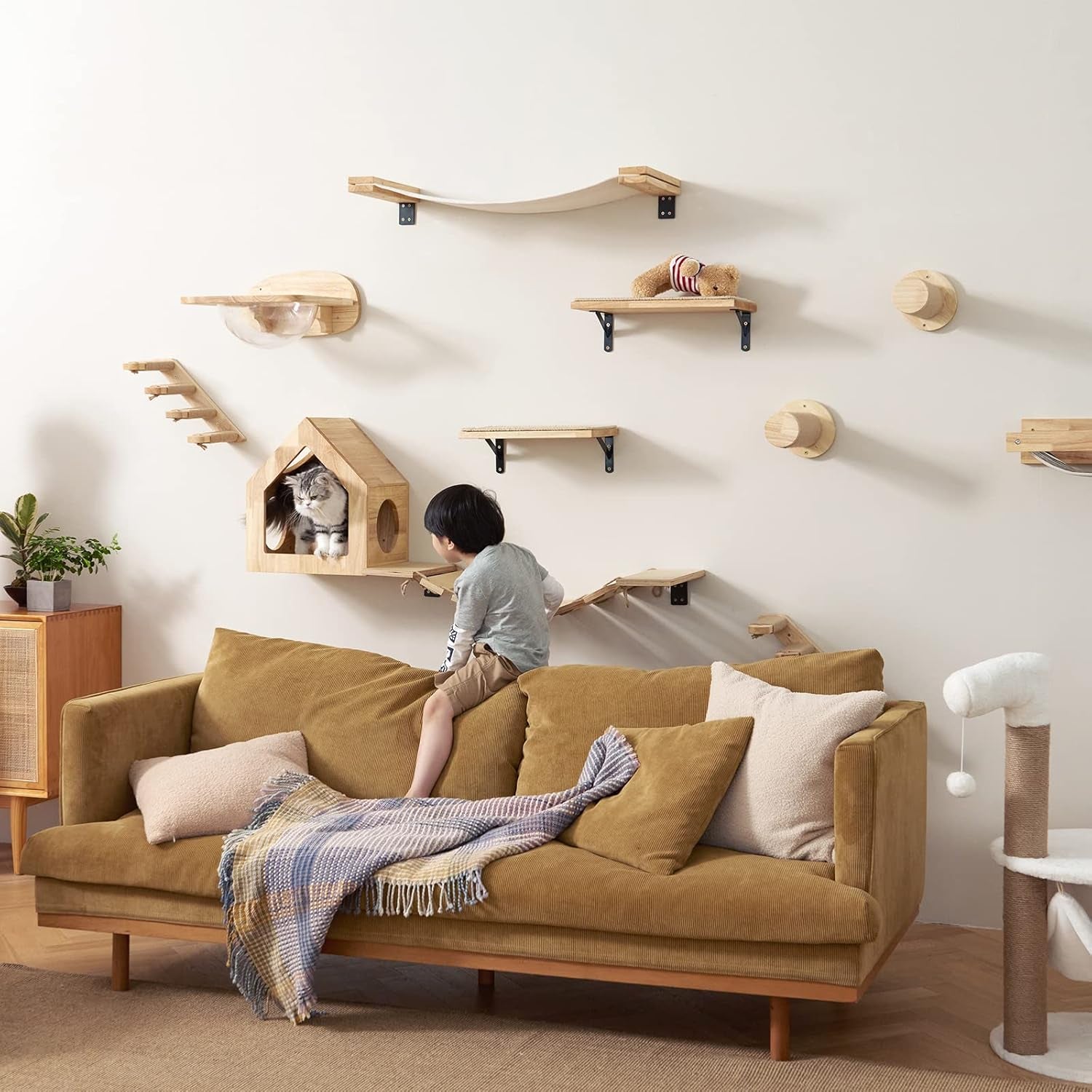 fukumaru-cat-wall-furniture-set-transparent-capsule-with-2-pcs-pedals-kitten-walls-shelves-premium-kitty-bed-for-sleeping-playing-climbing-lounging-holds-up-to-35-lbs