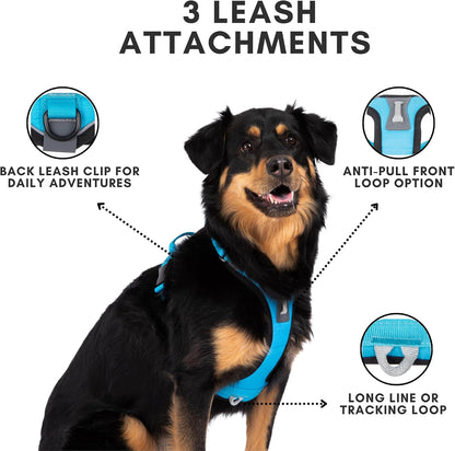 Shawnco Basecamp Dog Harness, No-Pull Pet Vest with 3 Leash Clips, Padded, Reflective, Lightweight and Adjustable Harness with Handle for Small, Medium and Large Dogs (ICY Lilac, M)3