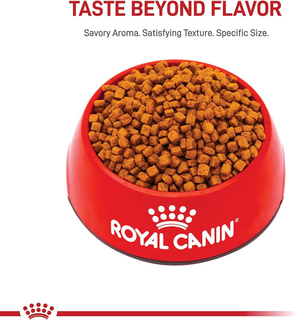 ROYAL CANIN Breed Health Nutrition Poodle Puppy Dry Dog Food, 2.5 Lb Bag. | Tailored for Poodle Puppies up to 10 Months, Specialized Kibble Shape, Supports Healthy Digestion, Antioxidant-Rich Formula.7