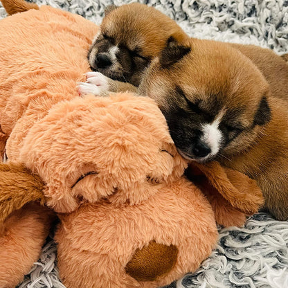 Snuggle Puppy Original Heartbeat Puppy Toy with Real-Feel Pulse & Heat Pack, Calming Sleep Aid for Puppy Anxiety, Crate Training, First Nights & New Puppy Transition - Biscuit7