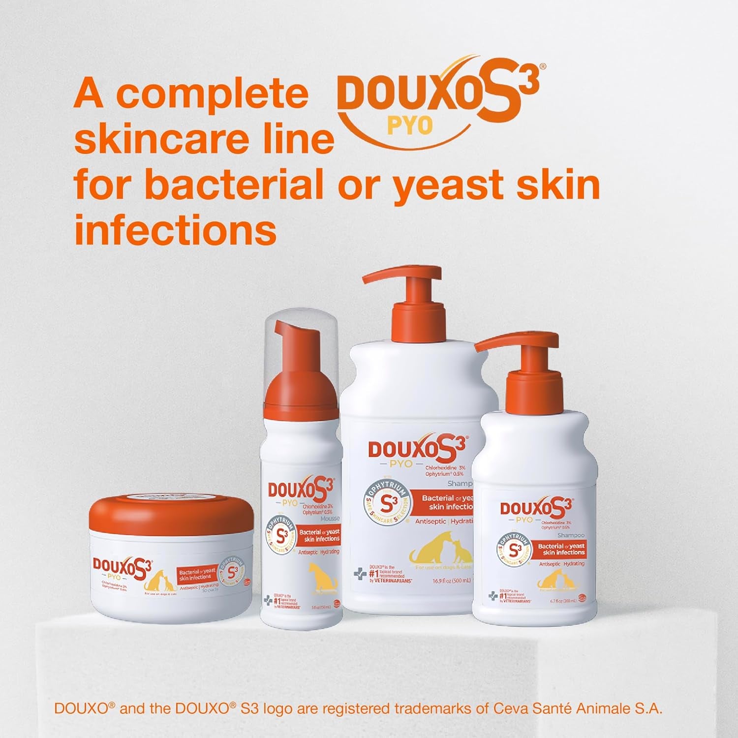 douxo-s3-pyo-medicated-dog-shampoo-with-3-chlorhexidine-for-dogs-antibacterial-antiseptic-yeast-infection-treatment-for-dogs-cats-clinically-proven-6-7-fl-oz-antibacterial-antiseptic-yeast-infection-treatment-for-dogs-cats-clinically-proven-6-7-fl-oz