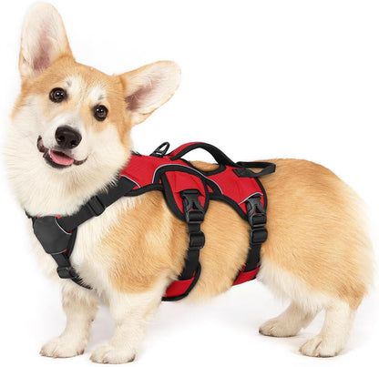 Rabbitgoo Escape Proof Dog Harness for Large, No Pull with Lift Handle | No Escape, Full Soft Padded, Reflective Adjustable Vest, Leash Clip for Walking Hiking Training, Black, Large36