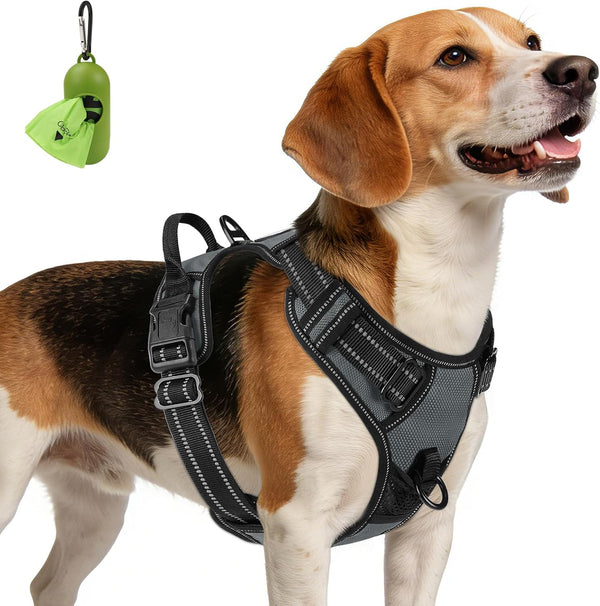 Joytale No Pull Dog Harness Medium Sized Dog, Front Clip, Black | Grab Handle for Instant Control, Padded & Adjustable Vest, Sturdy Metal D-Rings, for Safe Training & Daily Walking22