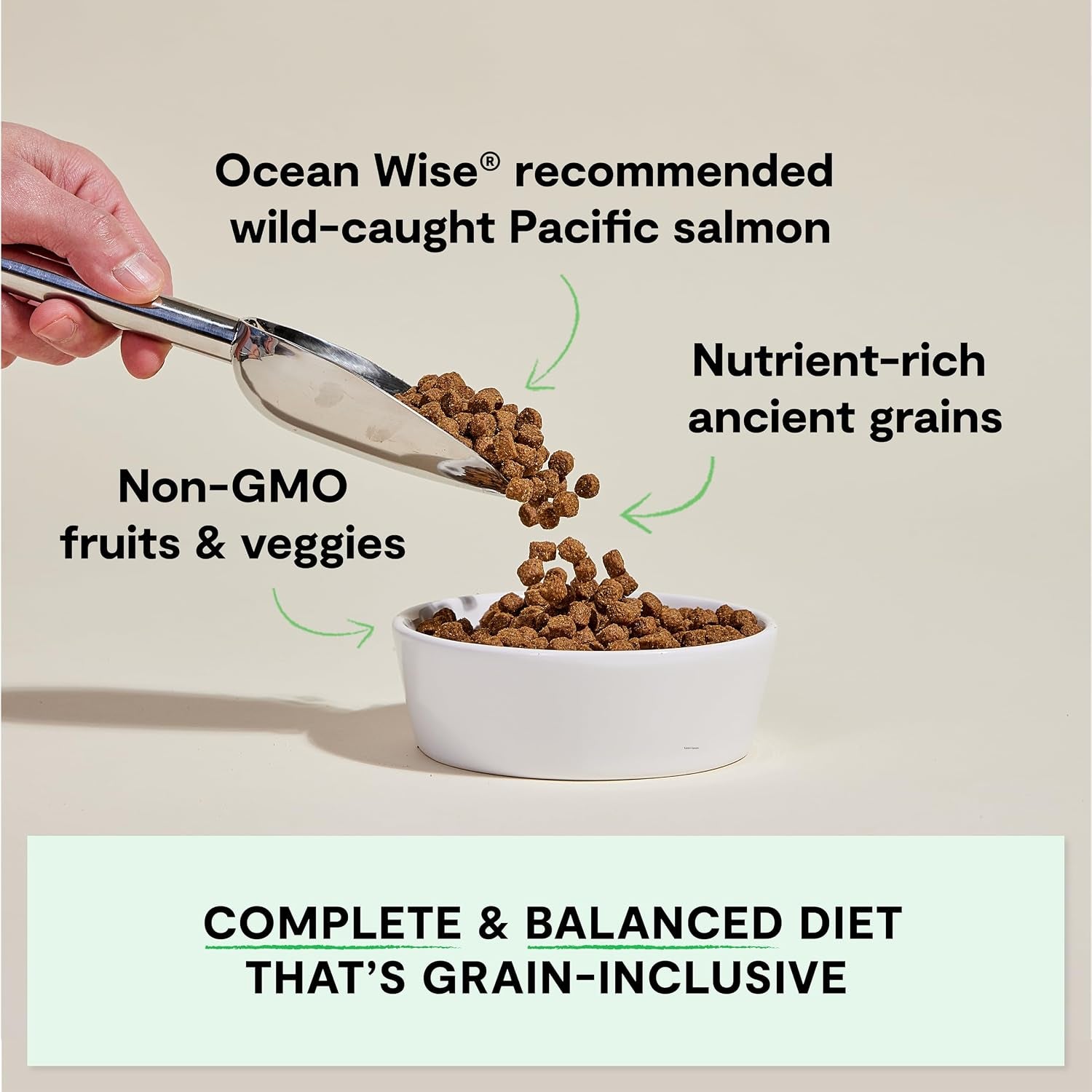 open-farm-ancient-grains-dry-dog-food-wild-caught-salmon-kibble-22lb-bag-all-life-stages-all-breed-sizes-protein-rich-nutrient-dense-100-traceable-ingredients-non-gmo-fruits-veggies