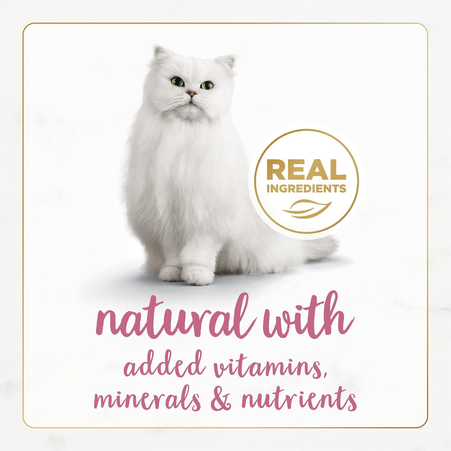 purina-fancy-feast-wet-cat-food-gourmet-naturals-wild-alaskan-salmon-and-shrimp-recipe-in-wet-cat-food-gravy-pack-of-12-3-oz-cans
