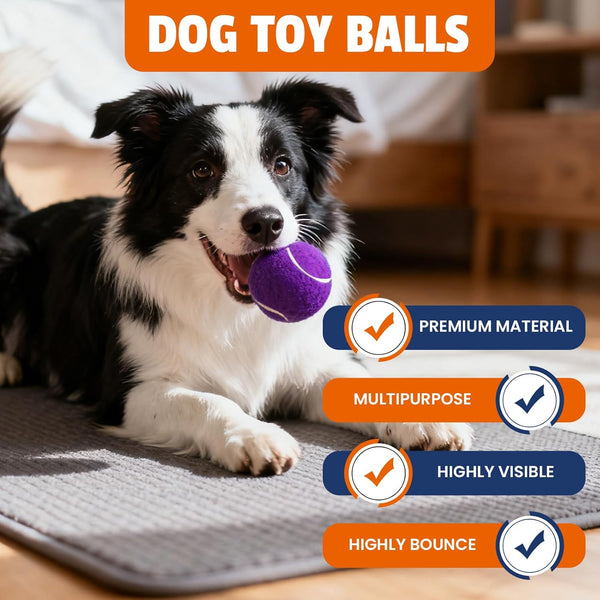 FURWEY Tennis Balls for Dogs 16 Pack,2.5 Inches,Durable and Non-Toxic Dog Toys Balls with Mesh Bag,Colorful Fetch Toys Balls for Pet Dog (Non Squeaky)7