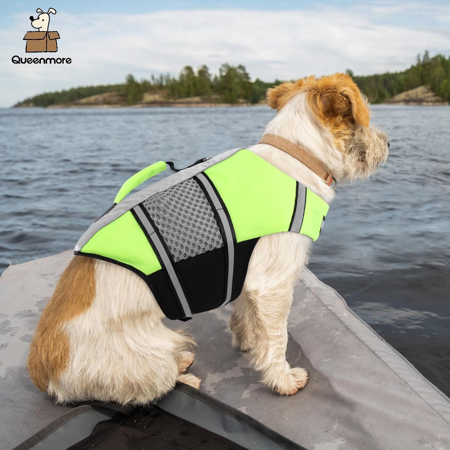 queenmore-dog-life-jacket-small-float-vests-for-swimming-boating-kayaking-mediumn-puppy-dogs-cats-neoprene-life-preserver-pet-water-lifesaver-lightweight-reflective-green-l
