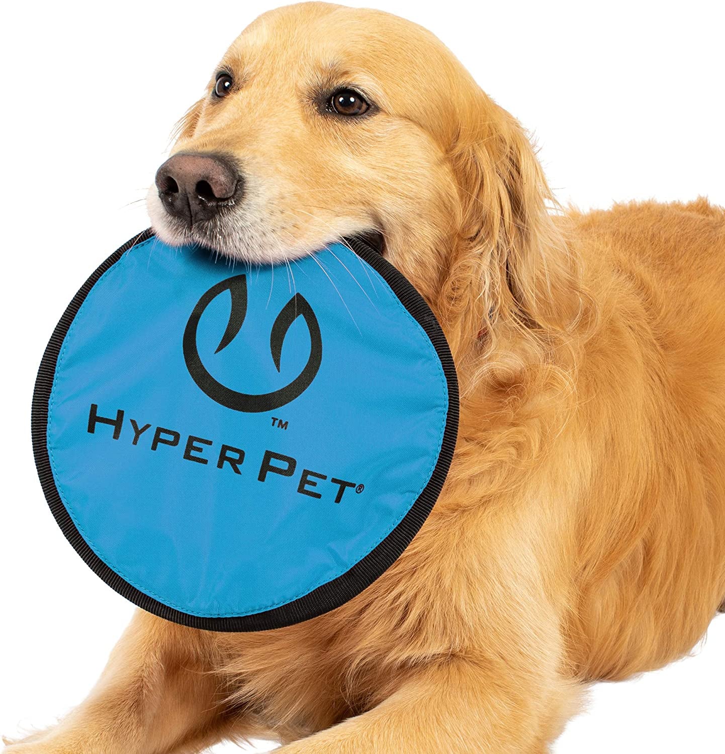 hyper-pet-flippy-flopper-flying-disc-soft-dog-toy-9-inch-floats-2-pack-safe-on-teeth-for-all-breeds-stays-on-the-water-surface-for-pool-and-lake-fetch-games-colors-may-vary-with-every-order