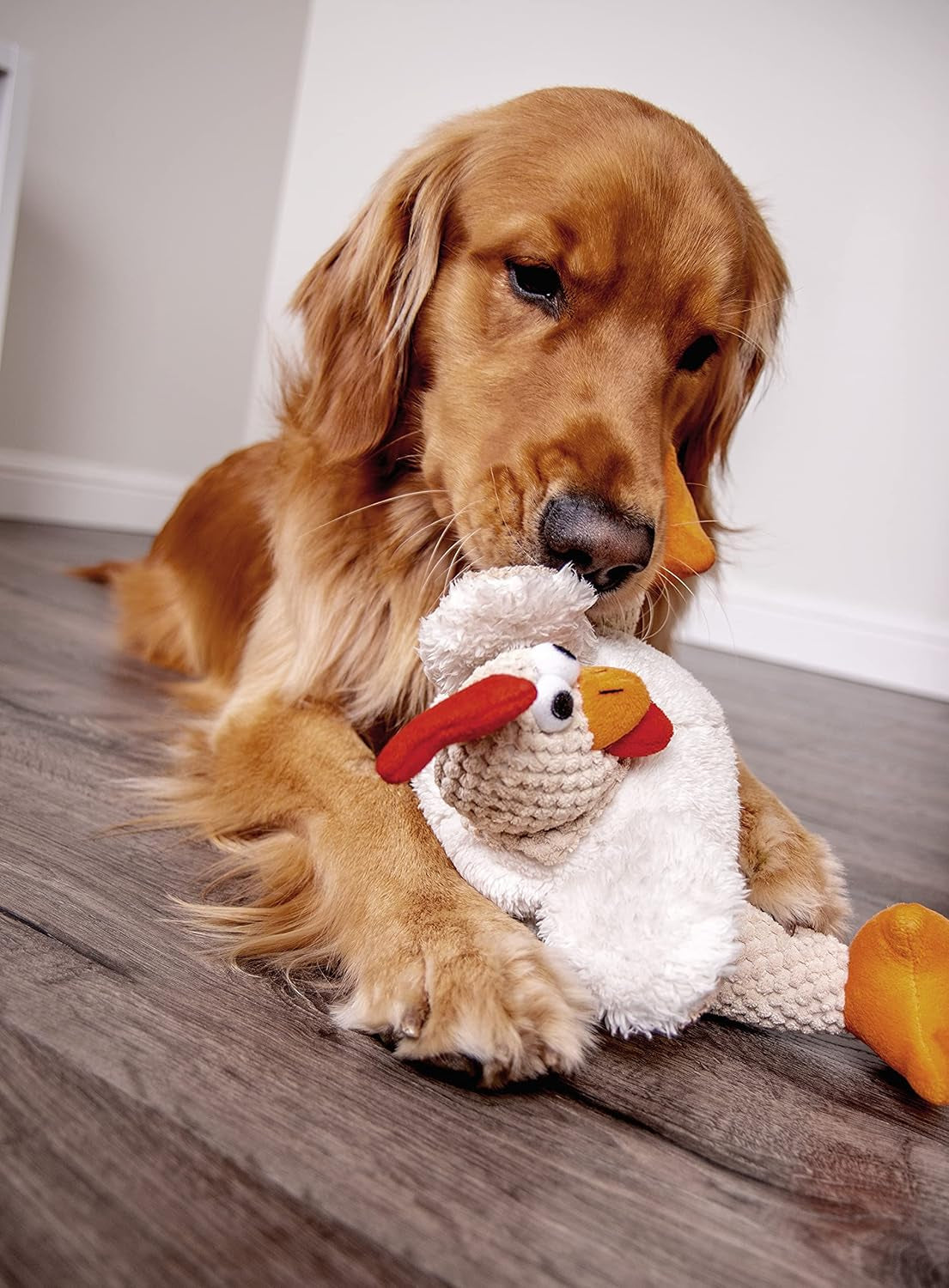 godog-checkers-fat-rooster-squeaky-plush-dog-toy-chew-guard-technology-white-large