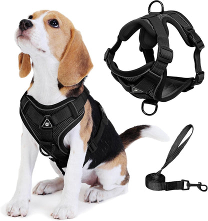 No Pull Dog Harness with Leash Set for Small Sized Dog, Reflective Adjustable No Choke Front Clip Cat Vest Harness with Breathable Mesh, Comfortable Soft Padded Pet Vest, Blue M8