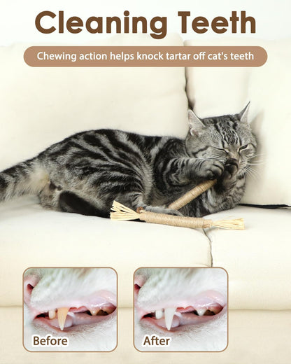 Tocirelo Silvervine Sticks Cat Toys - 6Pack Natural Cat Chew Toy Teeth Cleaning, Matatabi Dental Care Kitten Treat, Catnip Cat Teething Toys, Catmint Silver Vine Sticks for Bored Indoor Kitty3