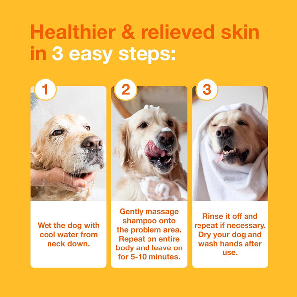 Douxo S3 PYO Medicated Dog Shampoo with 3% Chlorhexidine for Dogs – Antibacterial & Antiseptic Yeast Infection Treatment for Dogs & Cats, Clinically Proven, 6.7 Fl Oz | Antibacterial & Antiseptic Yeast Infection Treatment for Dogs & Cats, Clinically Proven, 6.7 Fl Oz6