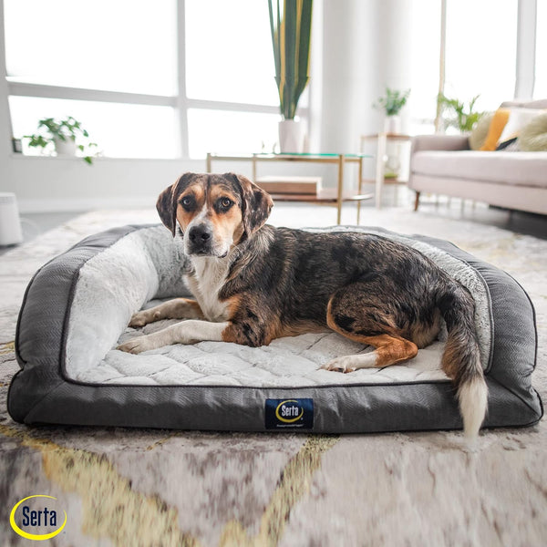 Serta Orthopedic Supportive Foam Quilted Couch Dog Bed with Soft Bolsters (Slate Gray) X-Large5