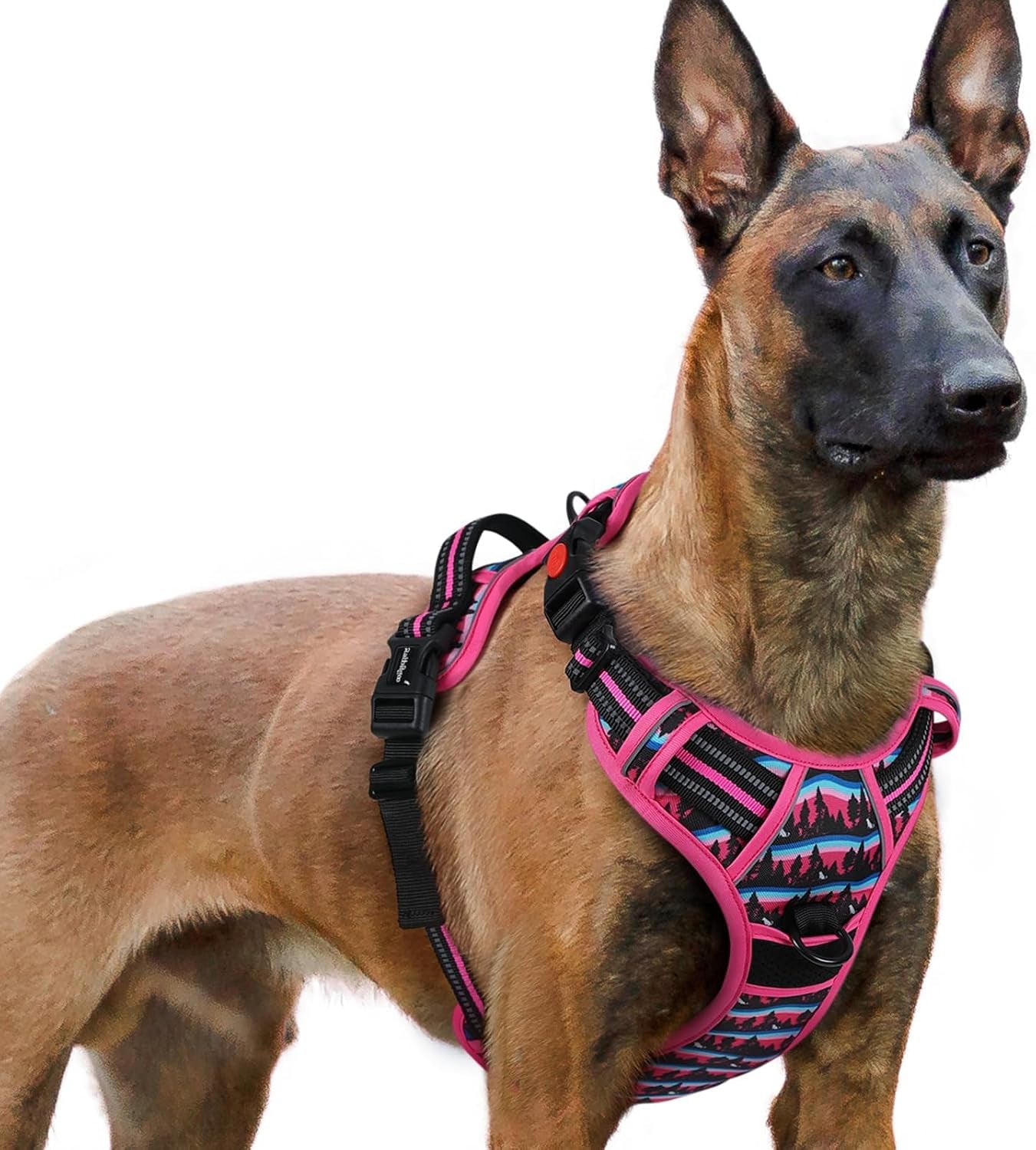rabbitgoo-dog-harness-medium-sized-updated-easy-on-off-with-3-buckles-no-pull-no-choke-walking-with-2-clips-and-handle-adjustable-soft-reflective-blue-medium