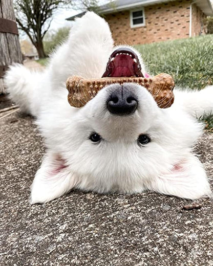 Nylabone Nubz Natural Dog Treats Made with Real Chicken, Large, 40 Count | Long Lasting Dog Chews, Made in the USA, Limited Ingredients, Highly Digestible, Dog Dental Treats for Large Dogs 30+ Lbs5