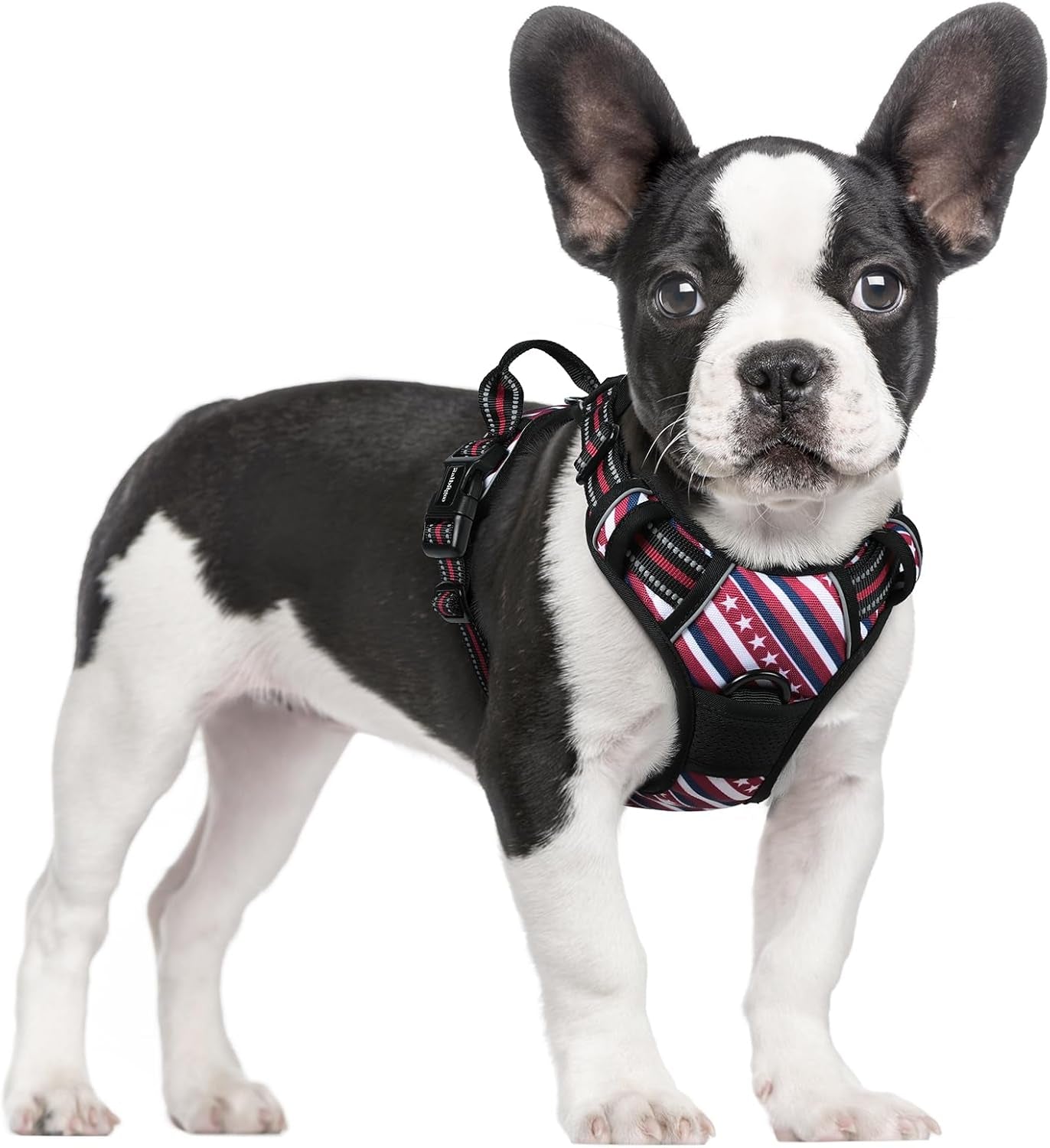 rabbitgoo-dog-harness-no-pull-for-large-dogs-with-2-leash-clips-pet-vest-no-choke-with-handle-adjustable-soft-padded-reflective-easy-control-for-walking-black-large