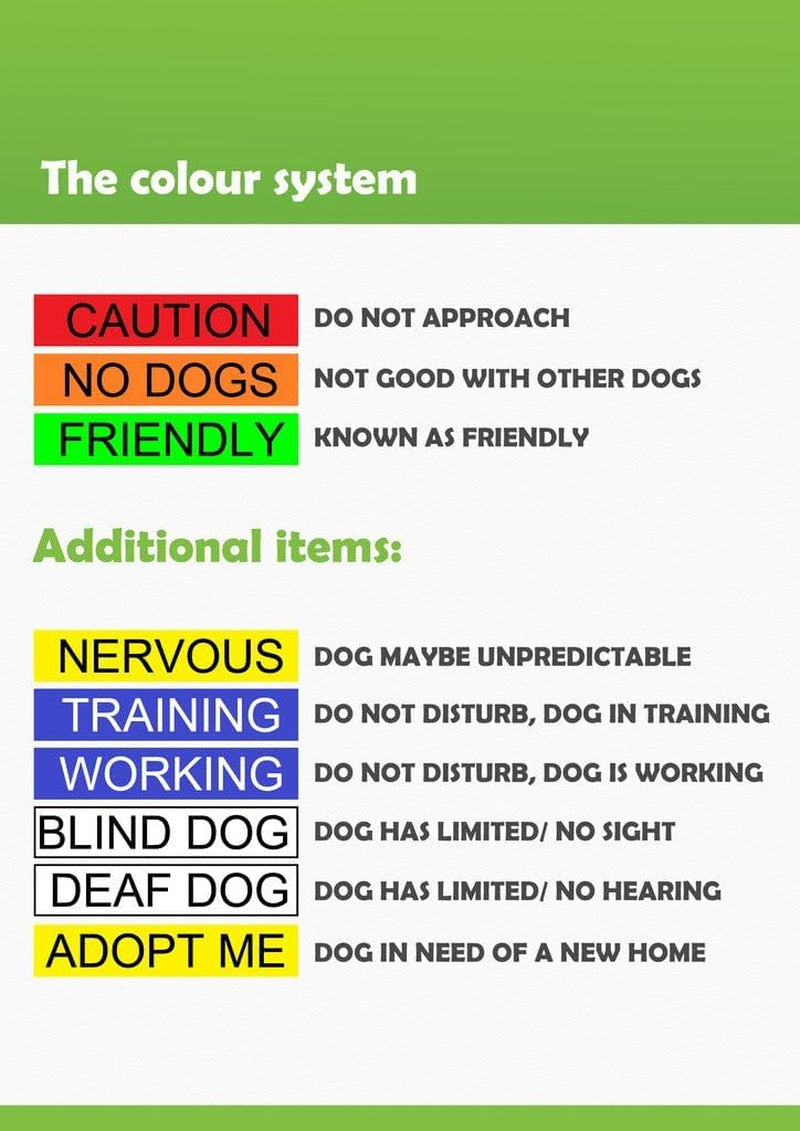 adopt-me-yellow-color-coded-l-xl-non-pull-dog-harness-new-home-needed-donate-to-your-local-charity