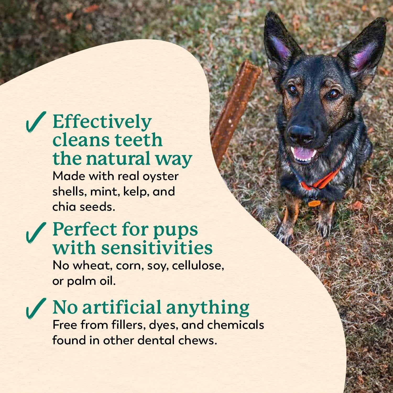 dr-harveys-holistix-dental-chews-for-dogs-for-fresh-breath-24-sticks-mint-sweet-potato-dried-kelp-oyster-shells-supports-teeth-cleaning