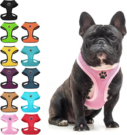 BINGPET Small Dog Harness, No Pull Dog Harness Small Sized Dogs, Soft Light Breathable Mesh Puppy Vest with Safety Buckle-Adjustable Step in Pet Harnesses for Easy Walking, Running, Training7