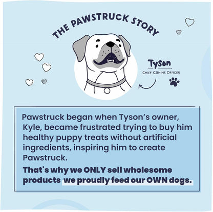 Pawstruck Air Dried Dog Food with Real Beef, Grain-Free, Made in USA, Non-Gmo & Vet Recommended, High Protein Limited Ingredient Full-Feed for All Breeds & Ages, 2Lb Bag9