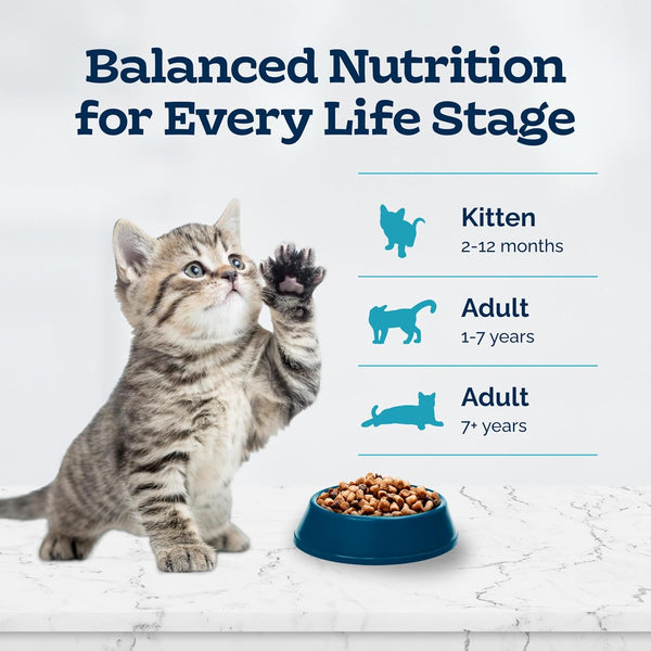Blue Buffalo Tastefuls Chicken Kitten Dry Cat Food, 3 Lb | with DHA, Real Chicken First, Antioxidant-Rich Lifesource Bits8