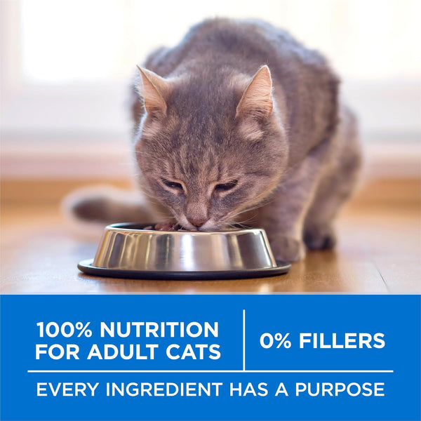 Purina ONE plus High Protein Cat Food Dry Salmon and Ocean Whitefish Cat Skin and Coat Health Formula - 7 Lb. Bag7