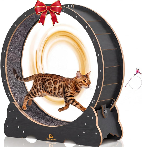 Cat Wheel, 46" XL Large Exercise Running Wheels with Detachable Carpet for Indoor Cats10