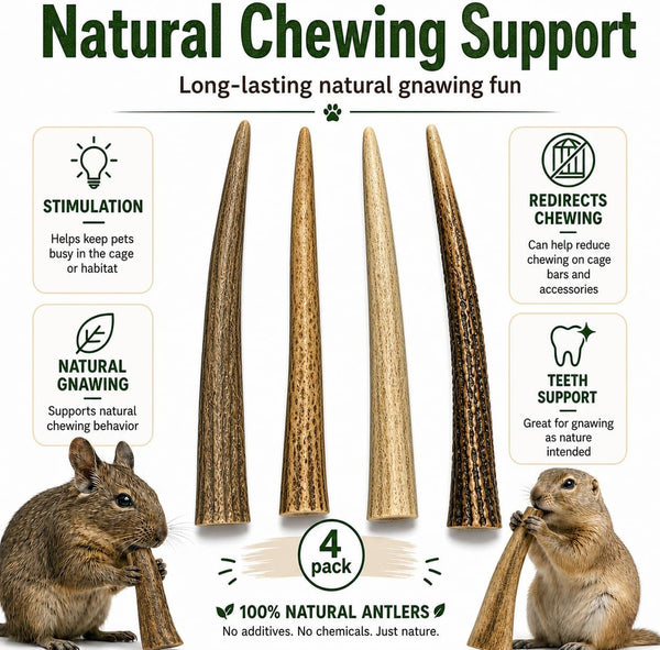 Whitetail Naturals Small Animal Antler Chews, 4 Pack Gnaw Stick Toys | for Squirrels Hamsters Gerbils Guinea Pigs Rats Degus Prairiedogs Chinchilas Rabbits - Calcium & Minerals - Not for Dogs4