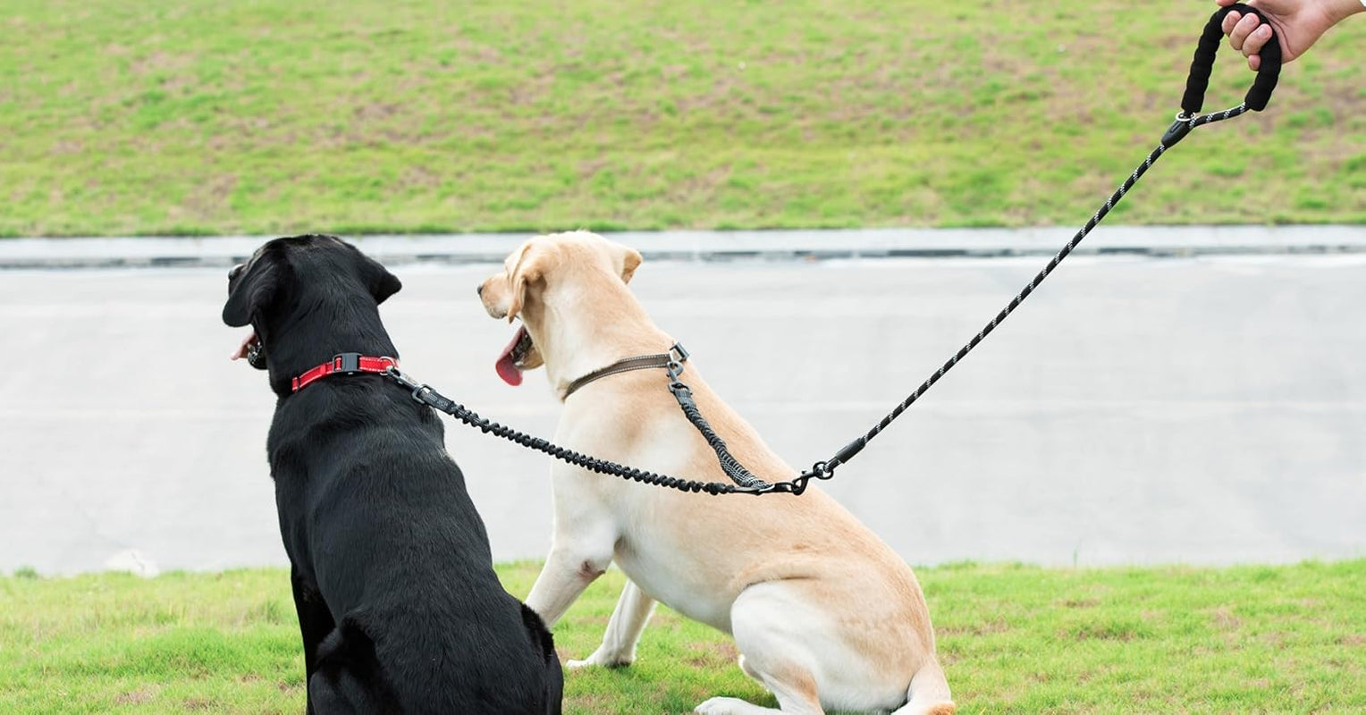 double-dog-leash-360-swivel-no-tangle-large-25-150-lbs-black-dual-leash-for-two-dogs-split-leash-shock-absorbing-bungee-padded-handle-heavy-duty-rope