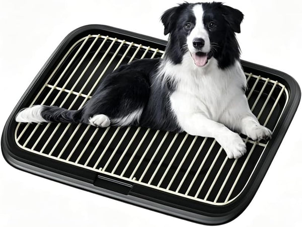 Dog Potty Tray Indoor Pet Pee Pad Holder for Small & Medium Dogs, Puppy Training Pad Holder, Pet Toilet Litter Box, Dog Bathroom Tray, Housebreaking Potty Supplies 17.72''Lx12.99''Wx1.97''H(Green)10