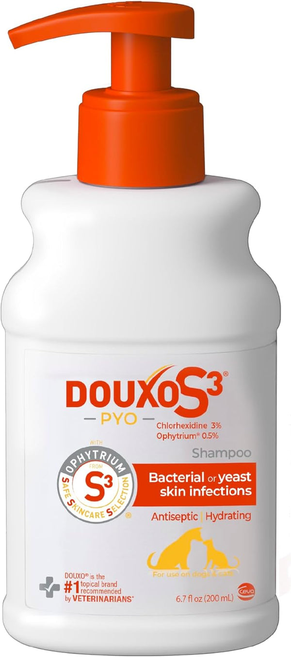 Douxo S3 PYO Medicated Dog Shampoo with 3% Chlorhexidine for Dogs – Antibacterial & Antiseptic Yeast Infection Treatment for Dogs & Cats, Clinically Proven, 6.7 Fl Oz | Antibacterial & Antiseptic Yeast Infection Treatment for Dogs & Cats, Clinically Proven, 6.7 Fl Oz1
