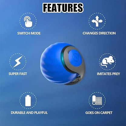 2Packs Speedy 2.0 Tail Cat Toys for Bored Indoor Adult Cats,2025 New Generation Interactive Cat Toys for Indoor Cats,Automatic Moving Ball with Tail,Blue and Orange5