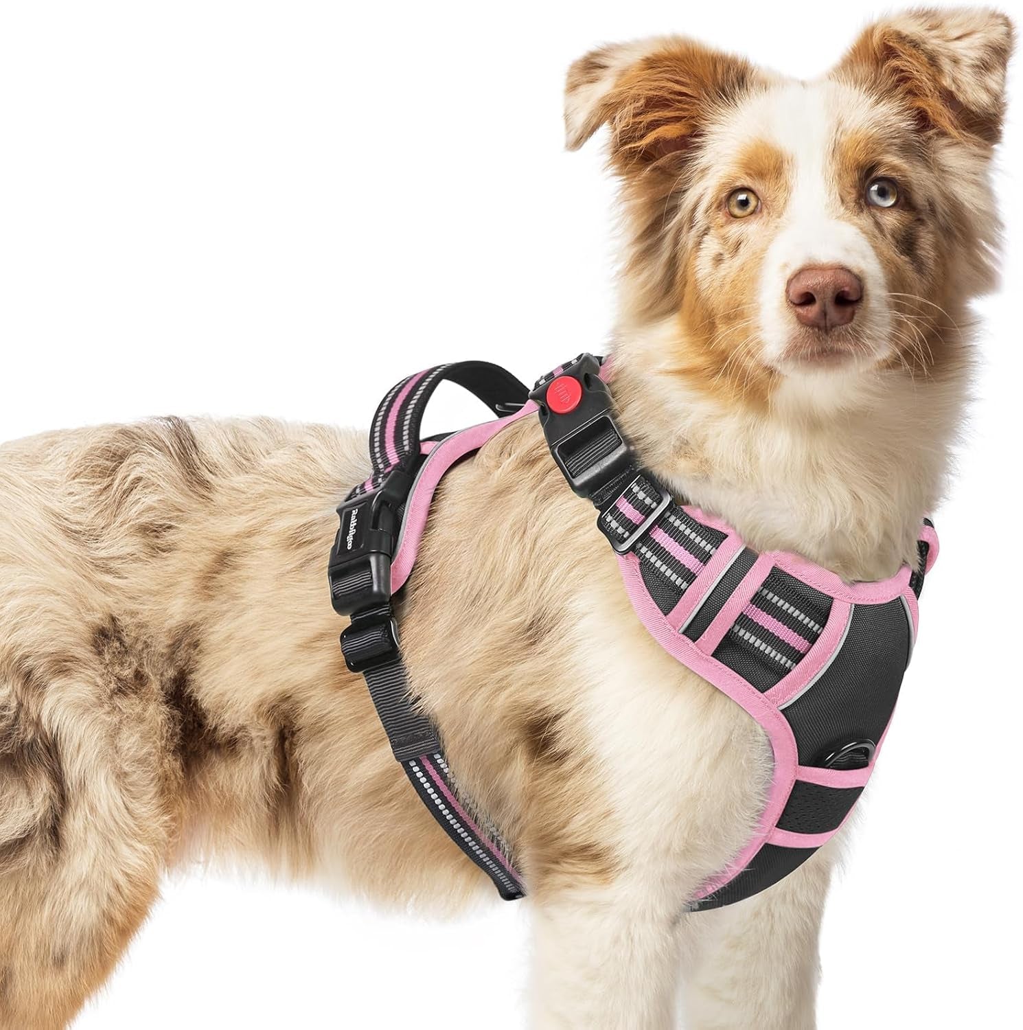 rabbitgoo-dog-harness-medium-sized-updated-easy-on-off-with-3-buckles-no-pull-no-choke-walking-with-2-clips-and-handle-adjustable-soft-reflective-blue-medium