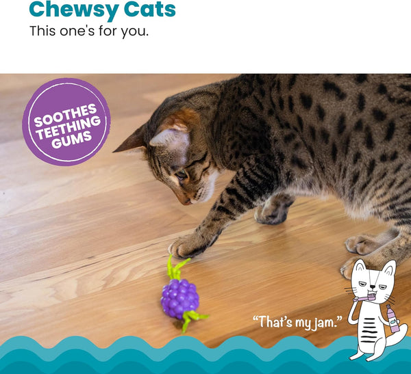 Catstages Bouncing Grape Teether Cat Toy, Soft and Textured Chew, Catnip Oil Coating2